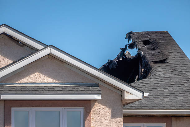 Top rated local Fire Damage Removal specialists in Bethel, OH